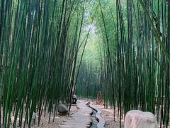 -竹泉村旅游度假区