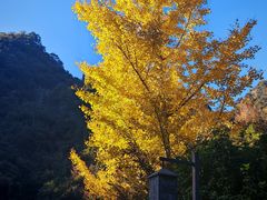 -楠溪江风景名胜区