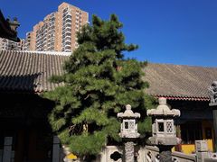 -护国法轮寺