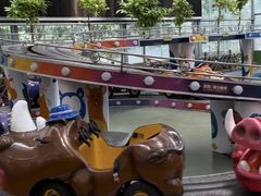 -南宫五洲植物乐园