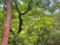 -飞霞风景名胜区