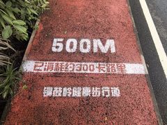 -海南铜鼓岭景区
