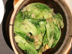 澳门虾酱啫农场生菜-小炳胜(卓悦中心店)