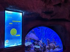 -南昌融创海世界