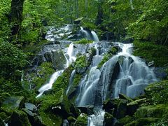 -萍乡武功山风景名胜区