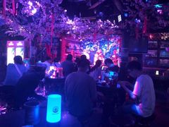 -周庄红庭演艺酒吧