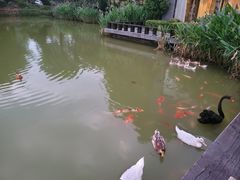 -天目湖涵田半山温泉水乐园