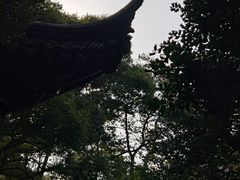 -拙政园