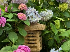 -常州古运河南大街文化旅游区-人民公园