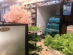 -后宫私房菜(汇客美食娱乐广场店)