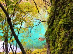 -叠溪松坪沟景区