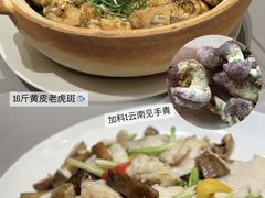 -金苑海鲜酒家(来魅力店)