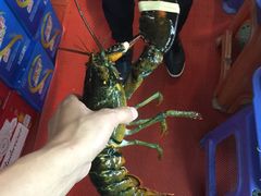 -鑫悦楼煎蟹·16年海鲜大排档