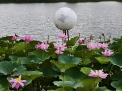 -澹台湖公园