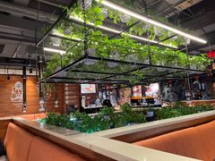 -猫爪爪原切自助烤肉(观音桥阳光世纪店)