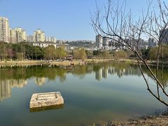 -沐仙湖湿地公园