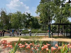 -武汉动物园