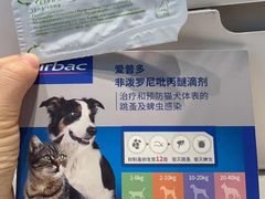 -御宝贝·A梦猫科宠物医院(国际猫友好医院)