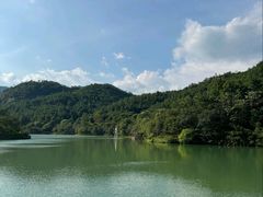 -广州白江湖森林公园