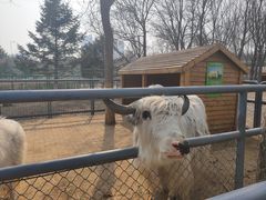 -长白岛森林公园