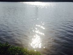 iphone_upload_pic-三水森林公园