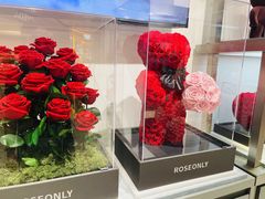 -ROSEONLY诺誓(广州K11店)
