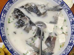 -全乐鱼馆·淳牌有机鱼直营店