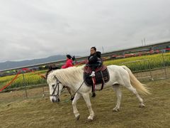 -光明小镇欢乐田园