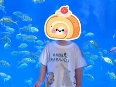 -洛阳龙门海洋馆