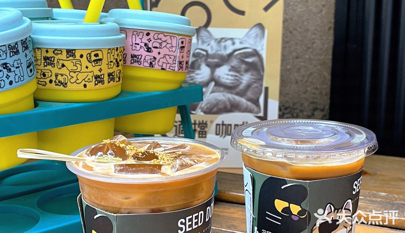为了杯子冲了一波seeddown咖啡