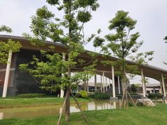 -桤木河湿地公园