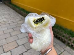 -西园戒幢律寺