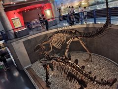 -国家自然博物馆