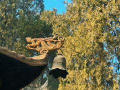 -兴教寺