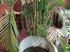 -大匠工房古船木艺术餐厅·猪肚鸡专门店(长白仙岛店)