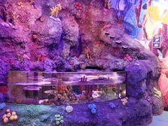 -沈阳海洋探索中心