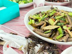 -盘龙黄鳝(盘龙居店)