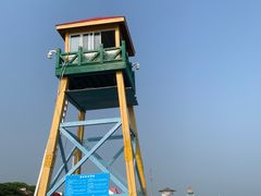-碧海金沙
