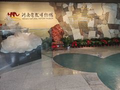 -河南自然博物馆