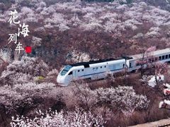 -居庸关长城