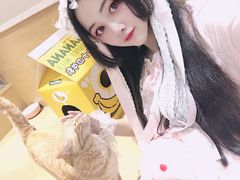 -滚猫咖啡·猫咖·猫友好撸猫(未来城店)