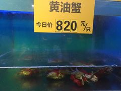 -三辣馆