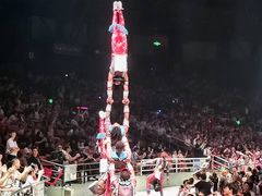 -广州长隆国际大马戏