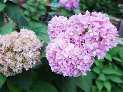 -秘密小花园(第三中学店)