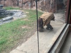 -杭州野生动物世界