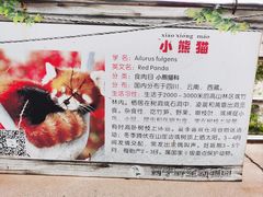 -青藏高原野生动物园
