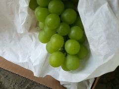 -马陆小张葡萄园农家乐