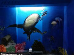 -船奇蒸汽海鲜·闽菜(八市海鲜总店)