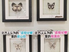-深圳龙华星河COCO City(民治店)