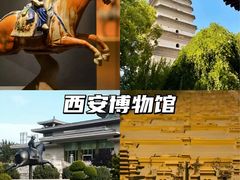 -陕西历史博物馆